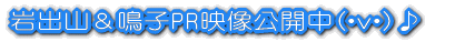�������ߏ��i���T�[�r�X 