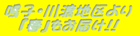 �q�E��n�n���� �w�t�x�����͂� 