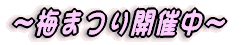 ������ 