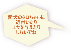 自信を持って 作りました 